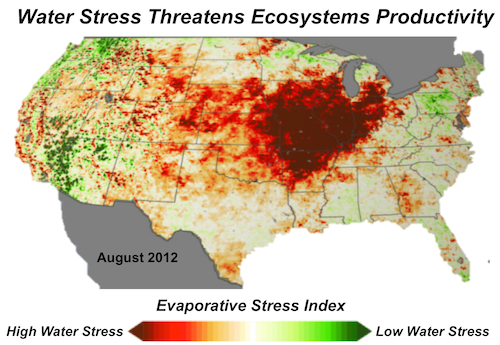 ecostress_stress_map
